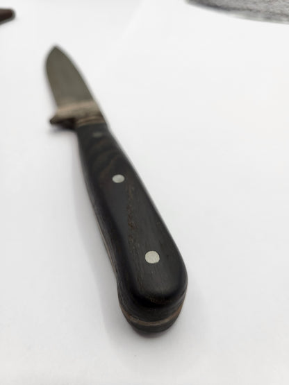 Jagdnicker Esche
