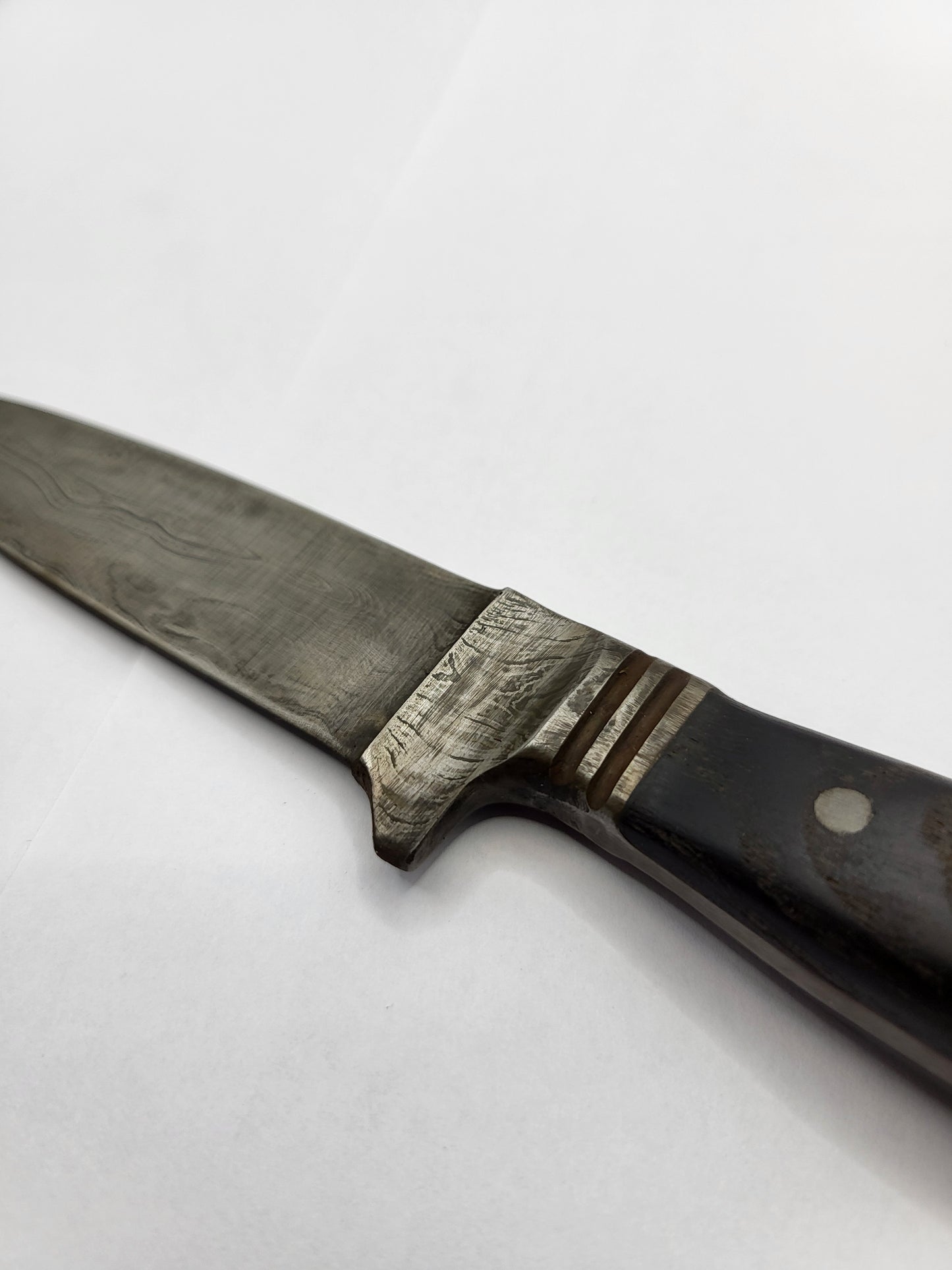 Jagdnicke Esche