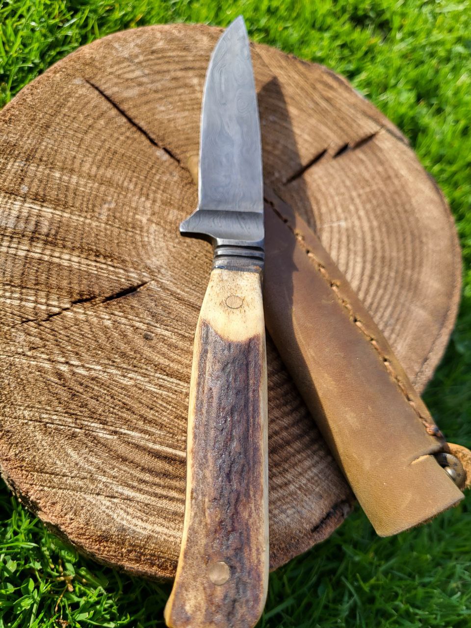 Jagdnicker Hirsch