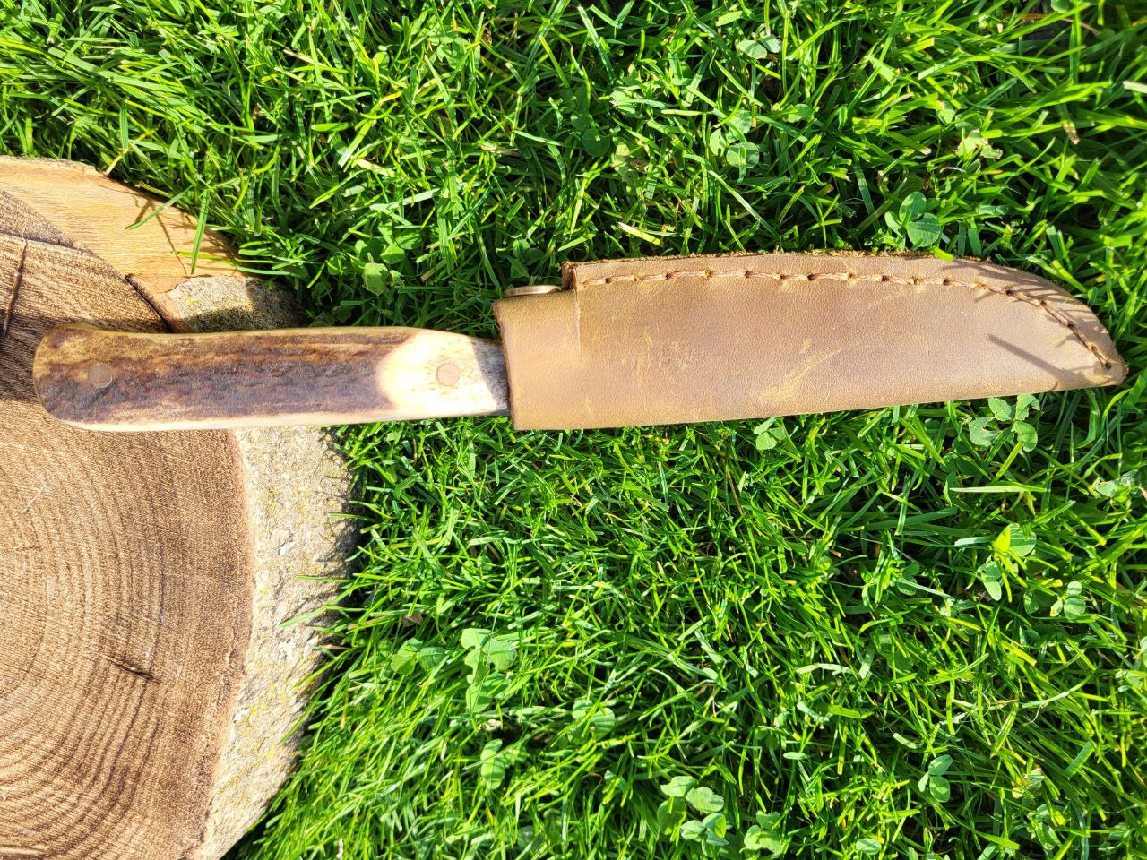 Jagdnicker Hirsch