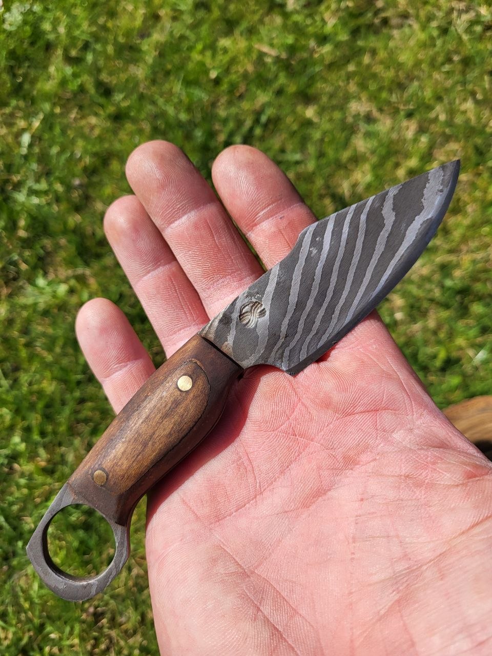 Small Twisted Outdoor Knife