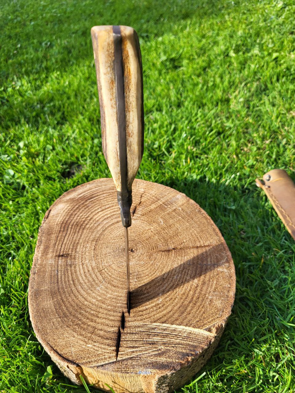 Jagdnicker Hirsch