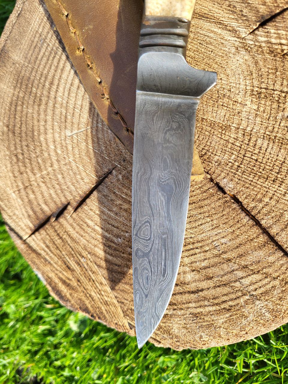 Jagdnicker Hirsch